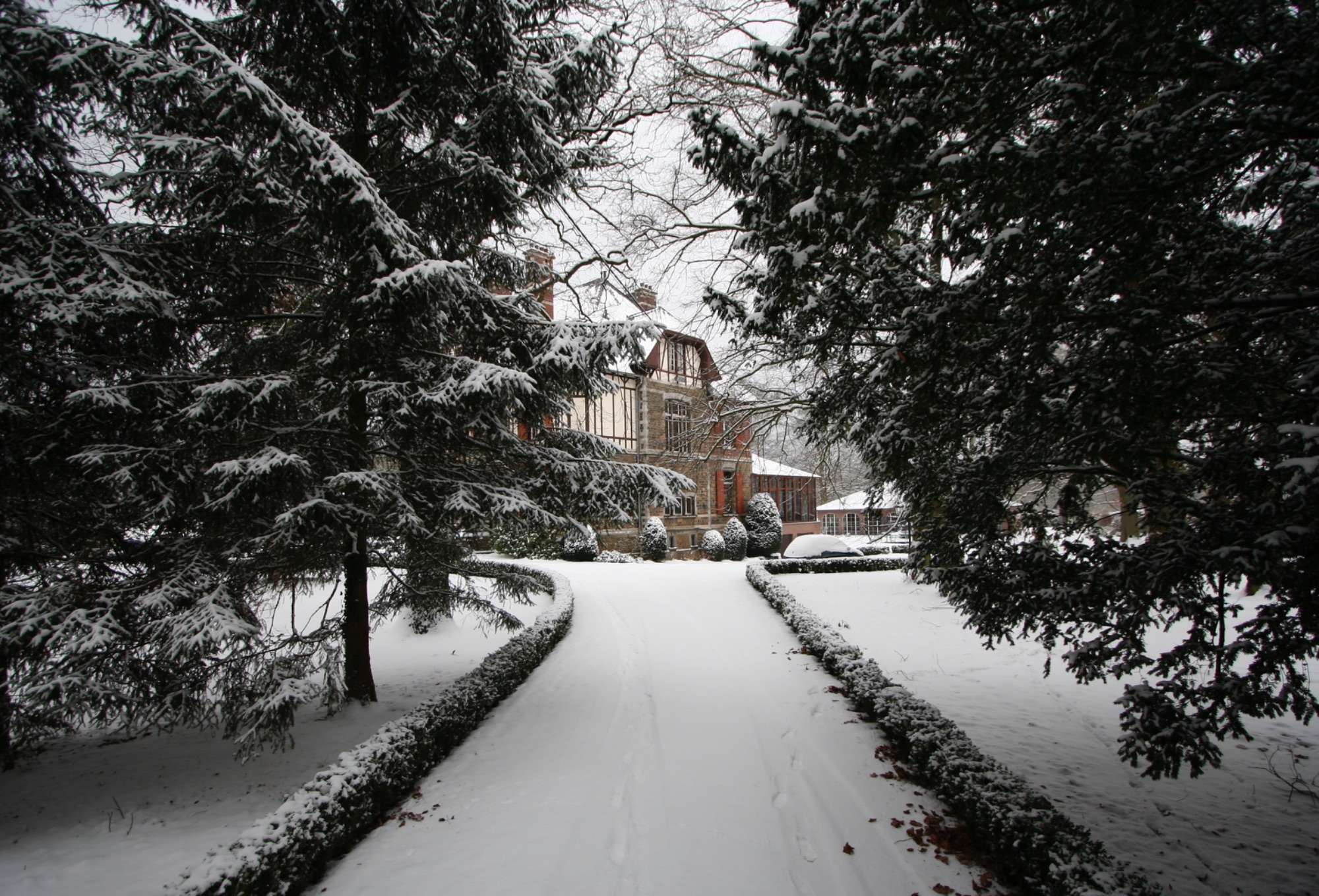 Verschneite Allee zum Schloss