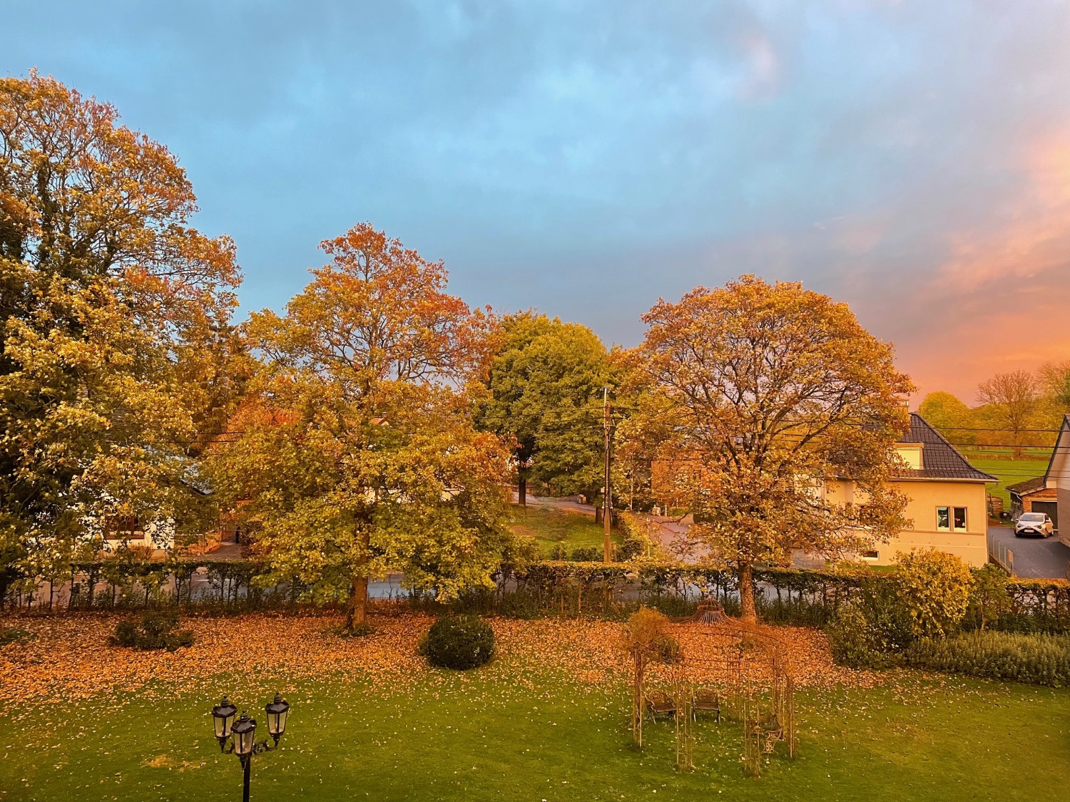 Herbst im Park
