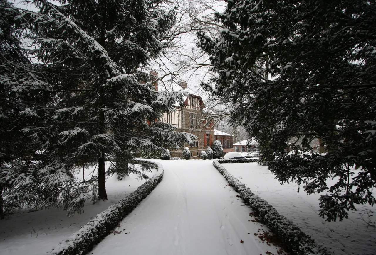 Verschneite Allee zum Schloss